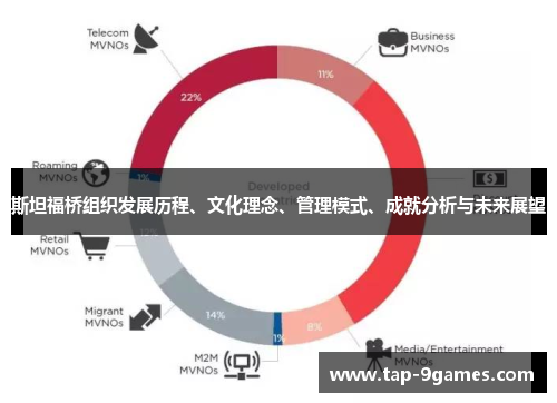 斯坦福桥组织发展历程、文化理念、管理模式、成就分析与未来展望