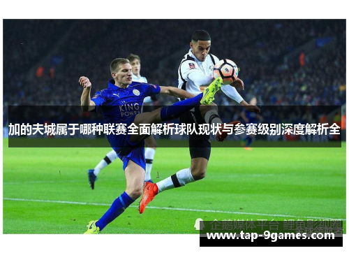 加的夫城属于哪种联赛全面解析球队现状与参赛级别深度解析全 加的夫城属于哪种联赛全面解析球队现状与参赛级别深度解析全