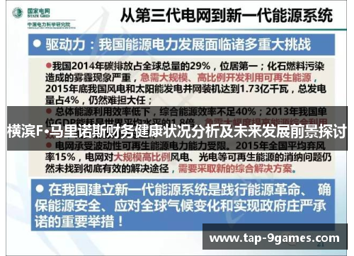 横滨F·马里诺斯财务健康状况分析及未来发展前景探讨